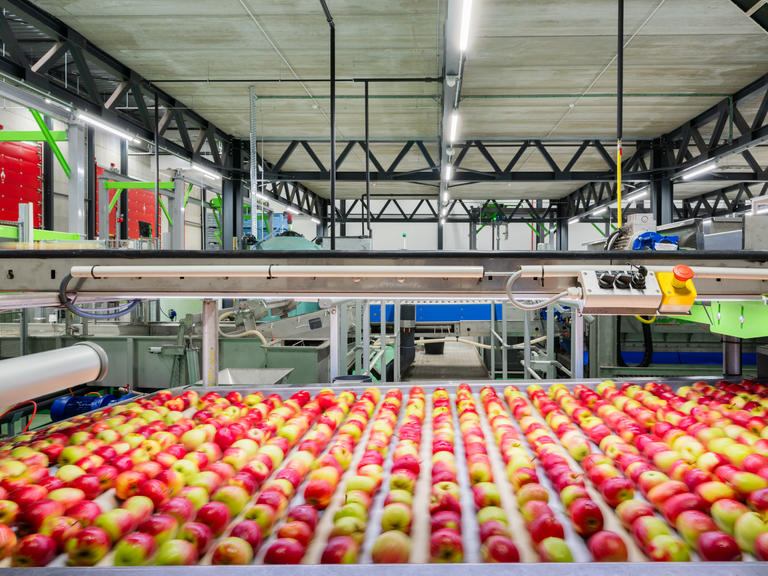 Belorta Sorteercentrum 13 low