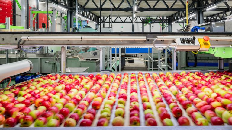 Belorta Sorteercentrum 13 low 16 9