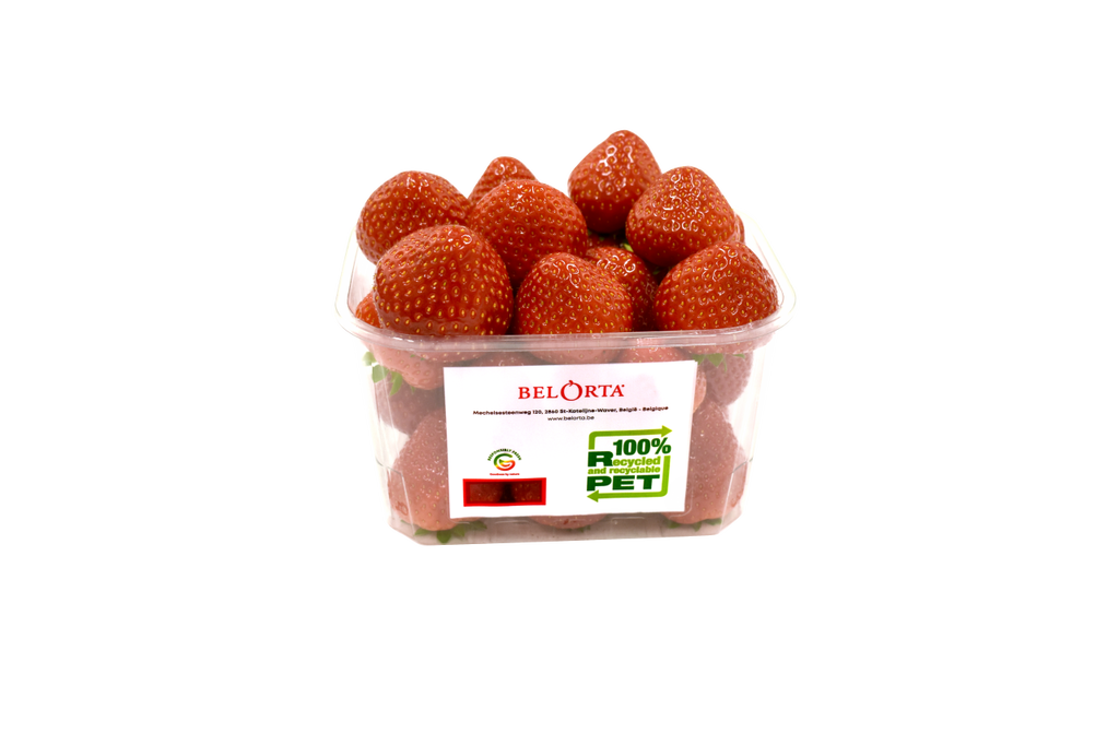 Bel Orta Tray2 Tray aardbeipunnet