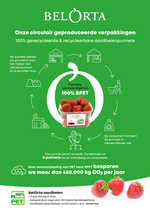 Infographic tray2tray aardbeipunnet NL