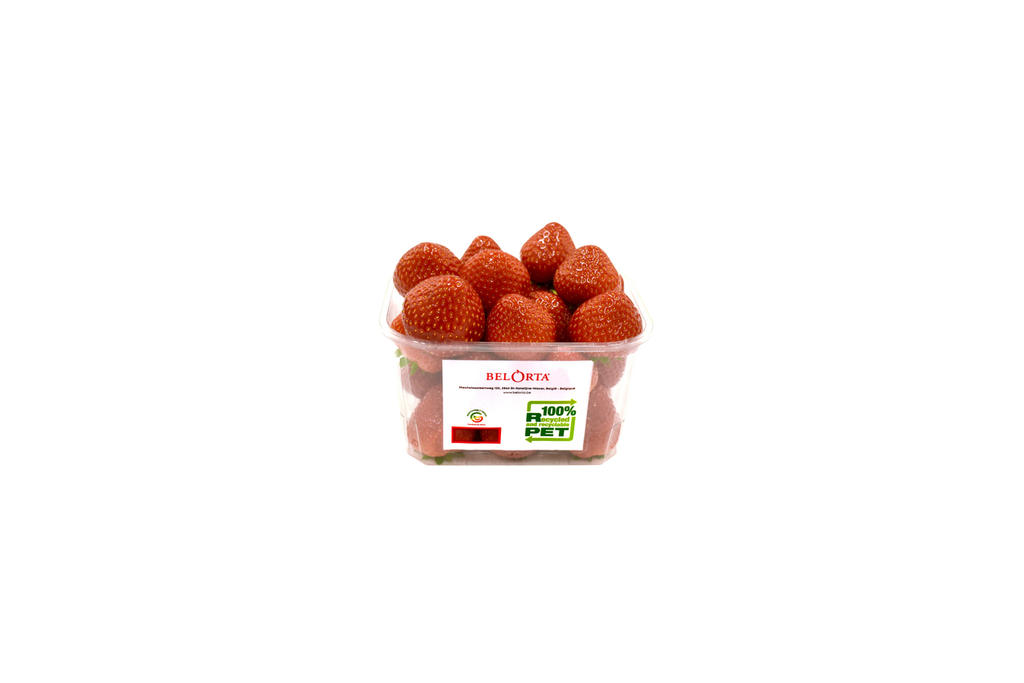 Bel Orta Tray2 Tray aardbeipunnet WA