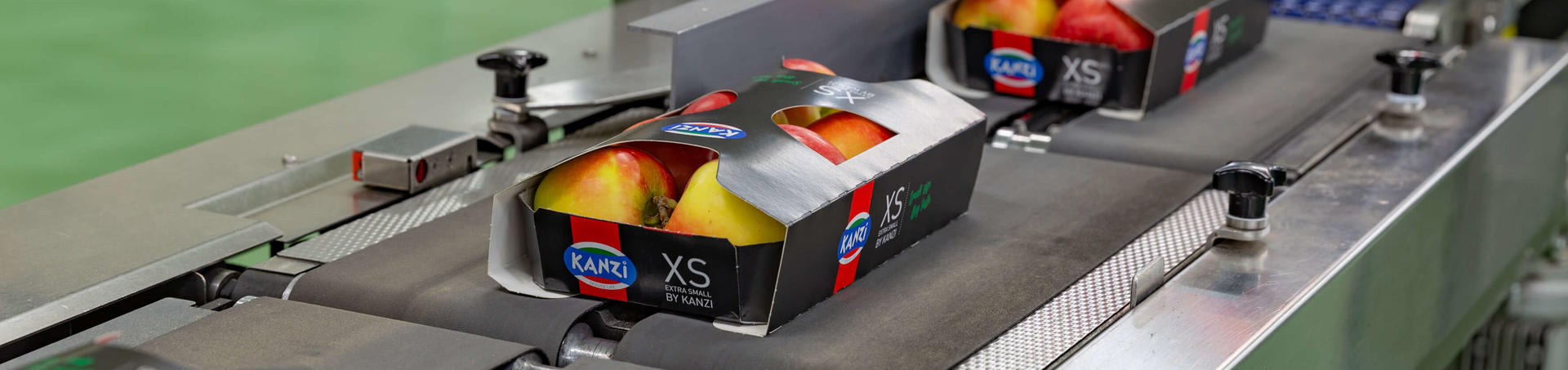 Kanzi xs