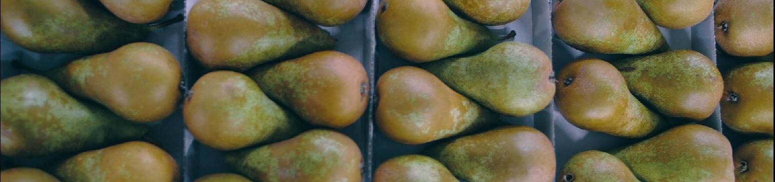 Peren